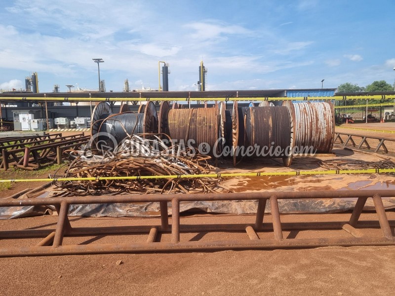 WhatsApp Image 2025-11-07 at 12.54.04 PM.jpg